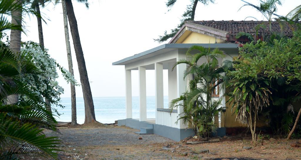 Talpona Paradise Beach House 卡纳科纳 外观 照片