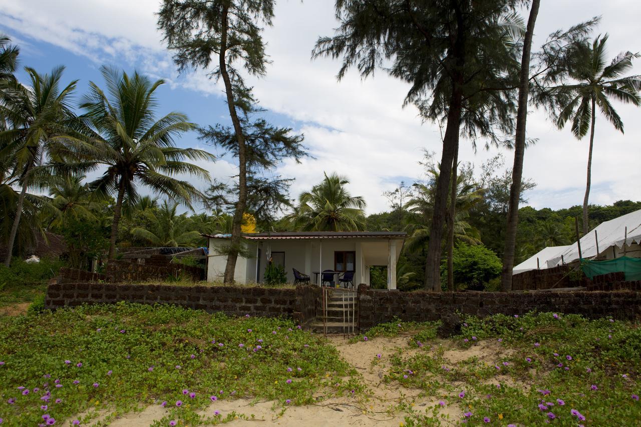 Talpona Paradise Beach House 卡纳科纳 外观 照片