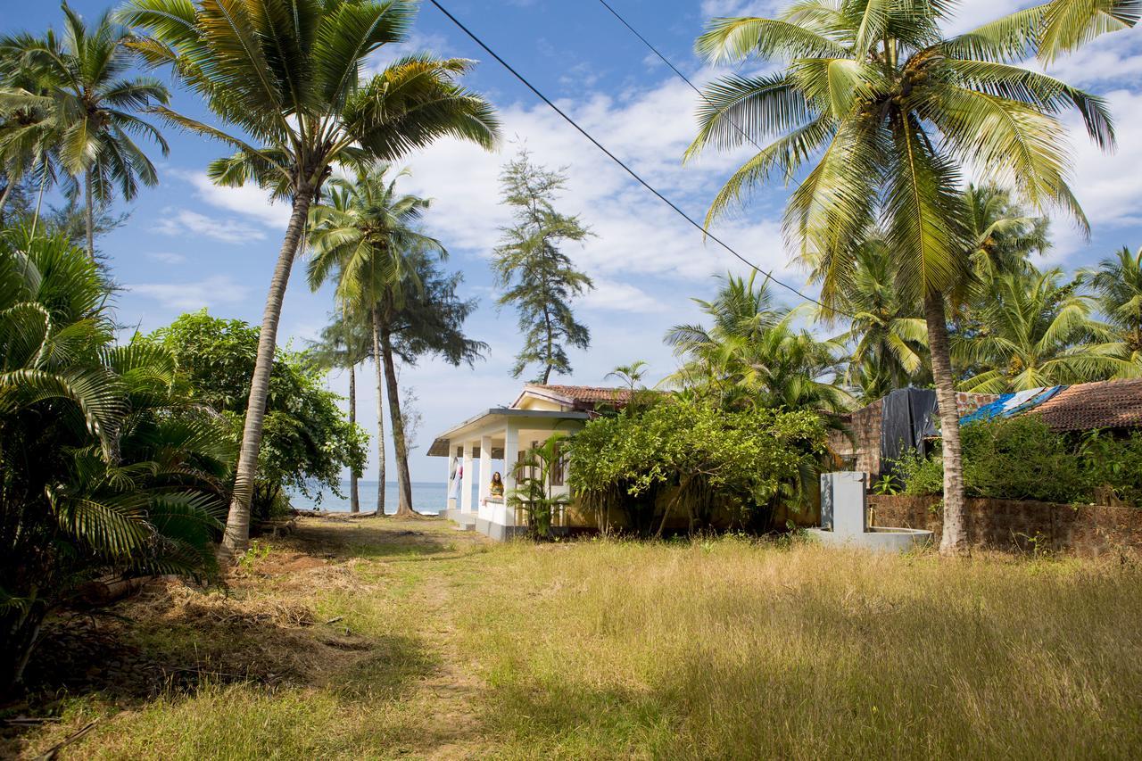Talpona Paradise Beach House 卡纳科纳 外观 照片