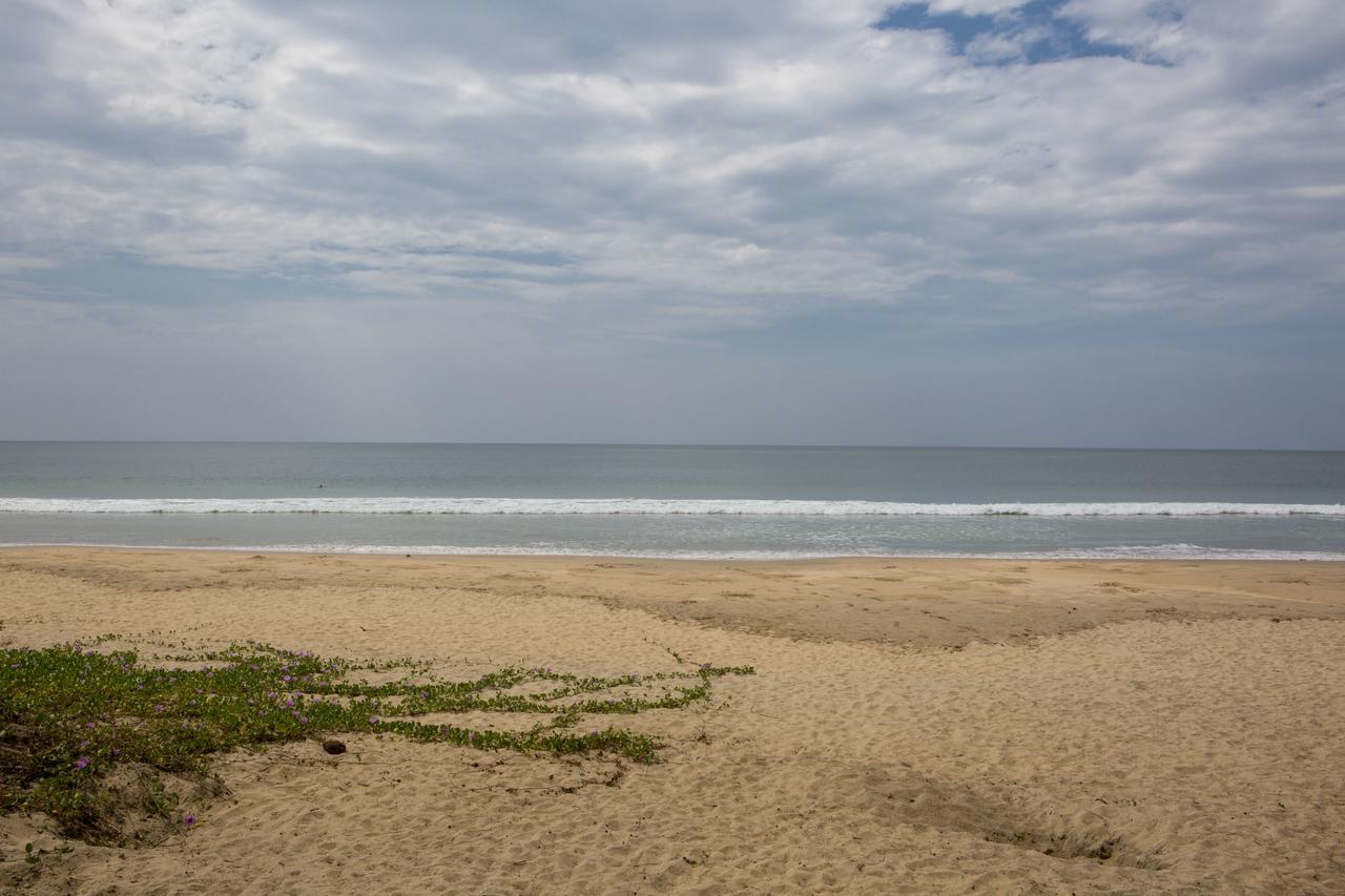Talpona Paradise Beach House 卡纳科纳 外观 照片