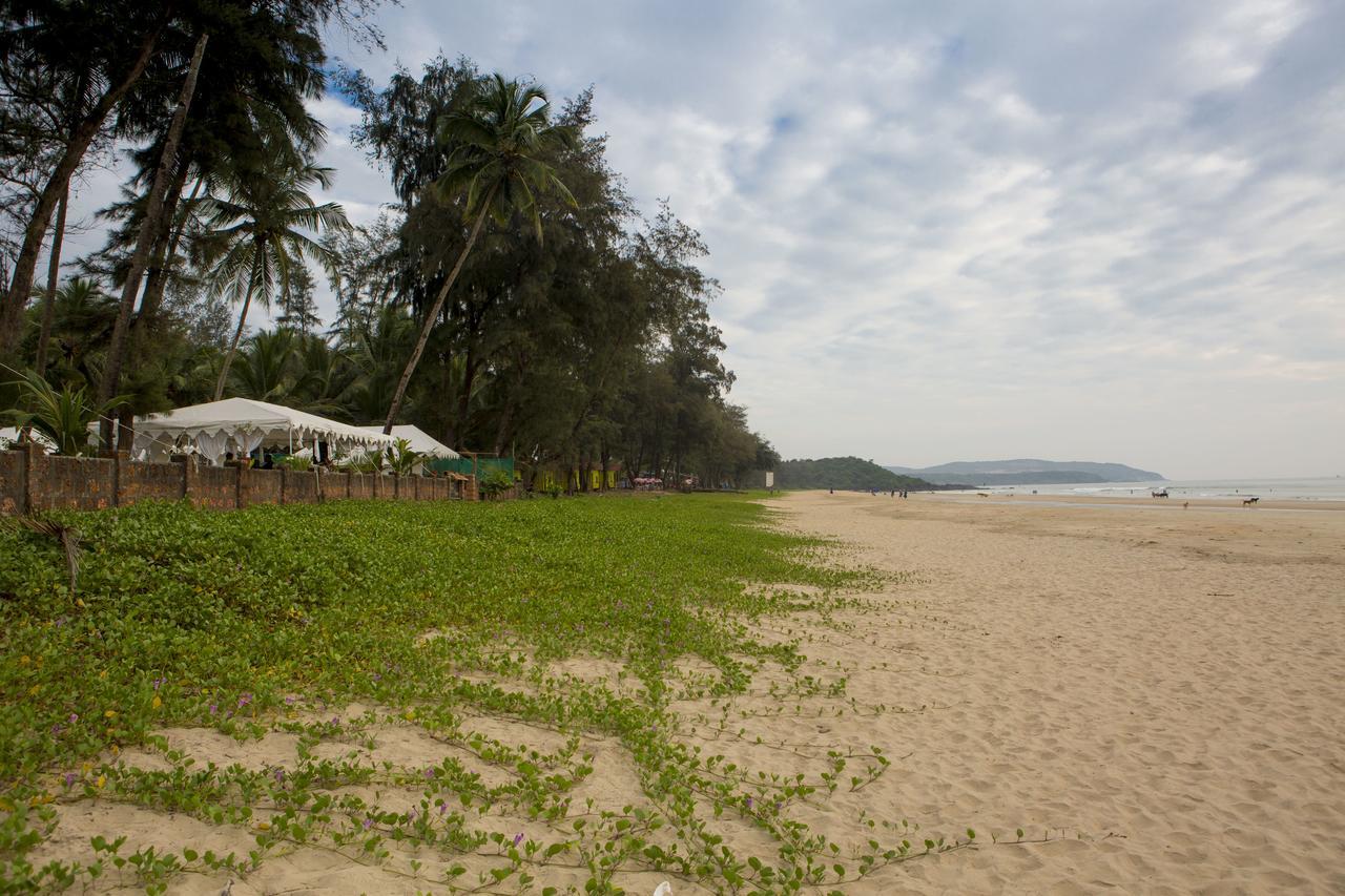 Talpona Paradise Beach House 卡纳科纳 外观 照片