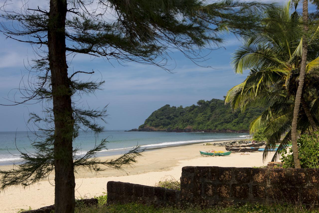 Talpona Paradise Beach House 卡纳科纳 外观 照片
