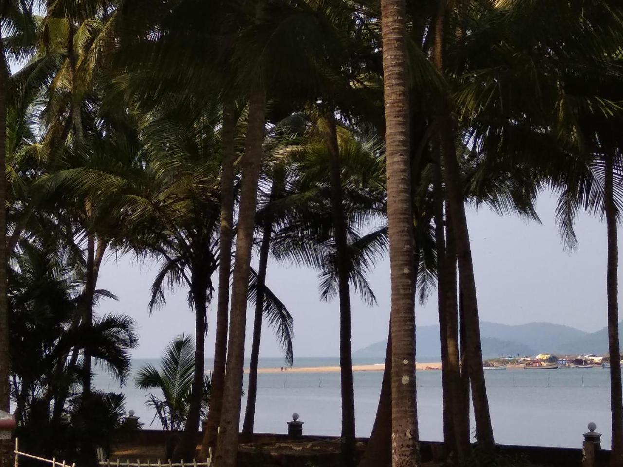 Talpona Paradise Beach House 卡纳科纳 外观 照片
